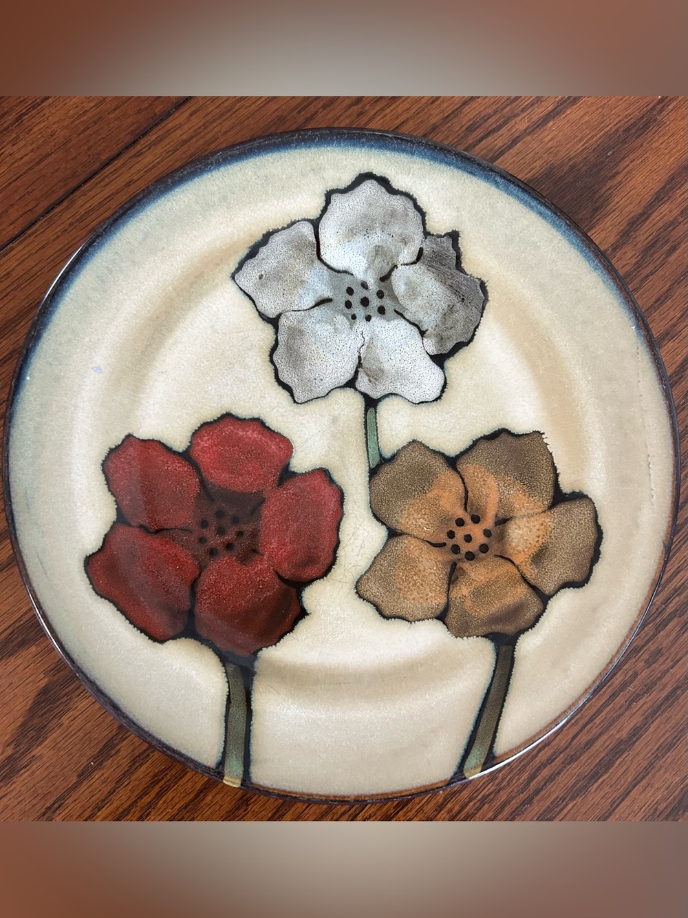 Pfaltzgraff Everyday Painted Poppies Salad Plates, set of 2